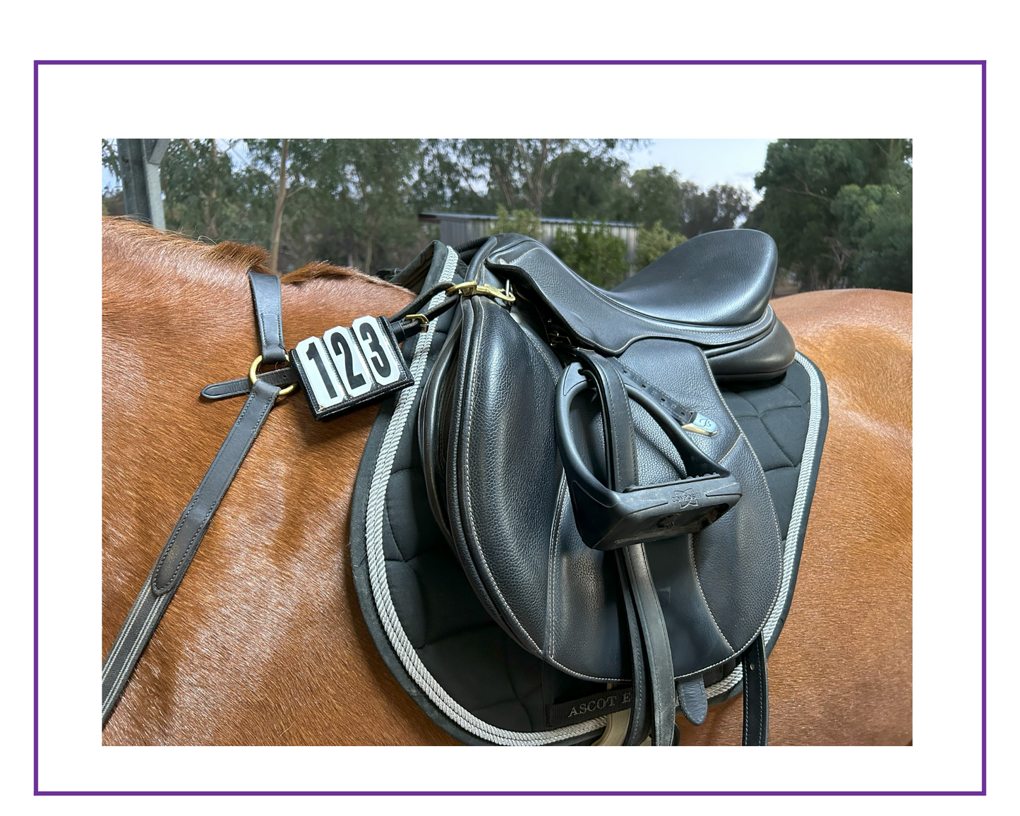 Eventing wrap for the breast plate. Made from black ripstop fabric and interchangeable number tabs