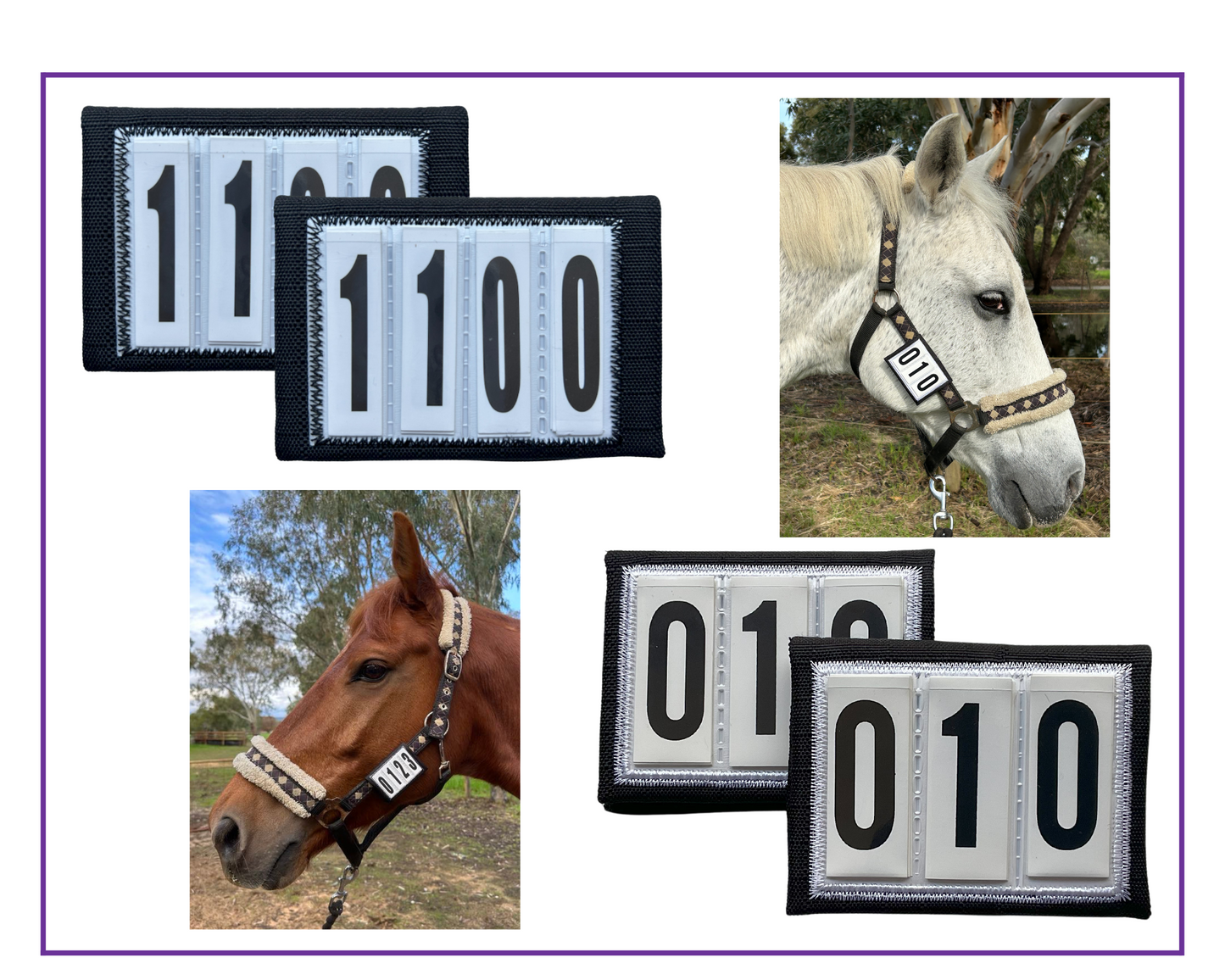 Eventing Halter Wraps 3 Number Tabs