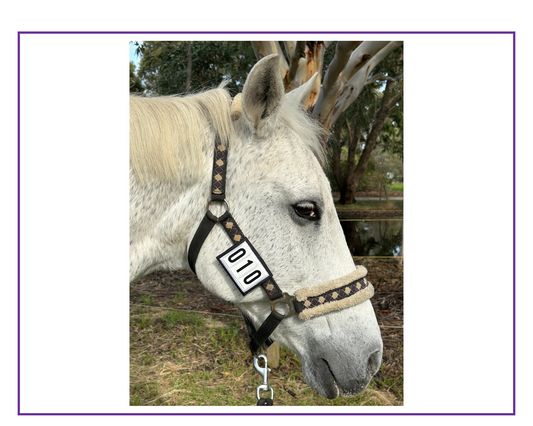 Eventing Halter Wraps 3 Number Tabs