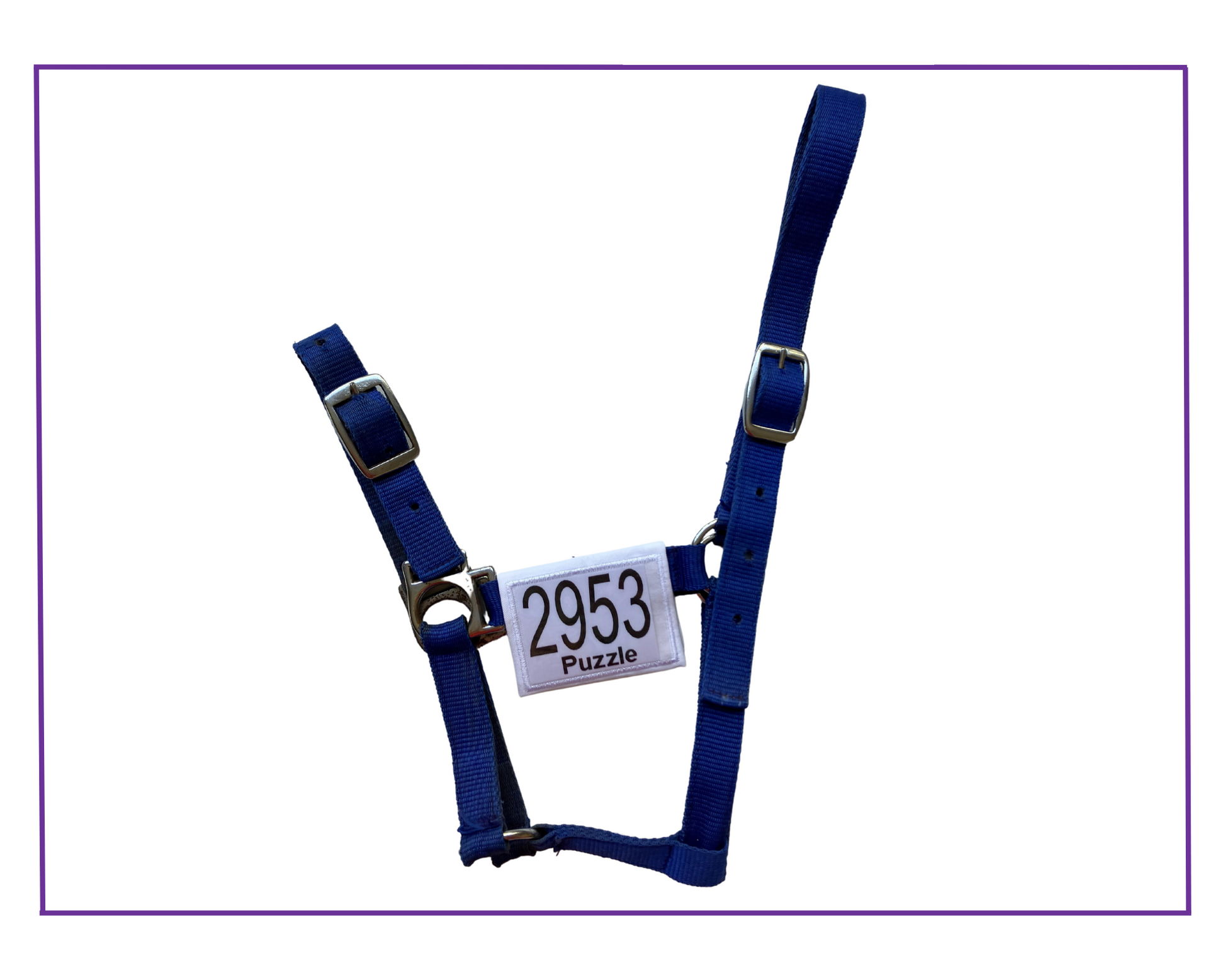 ea dressage number halter wrap