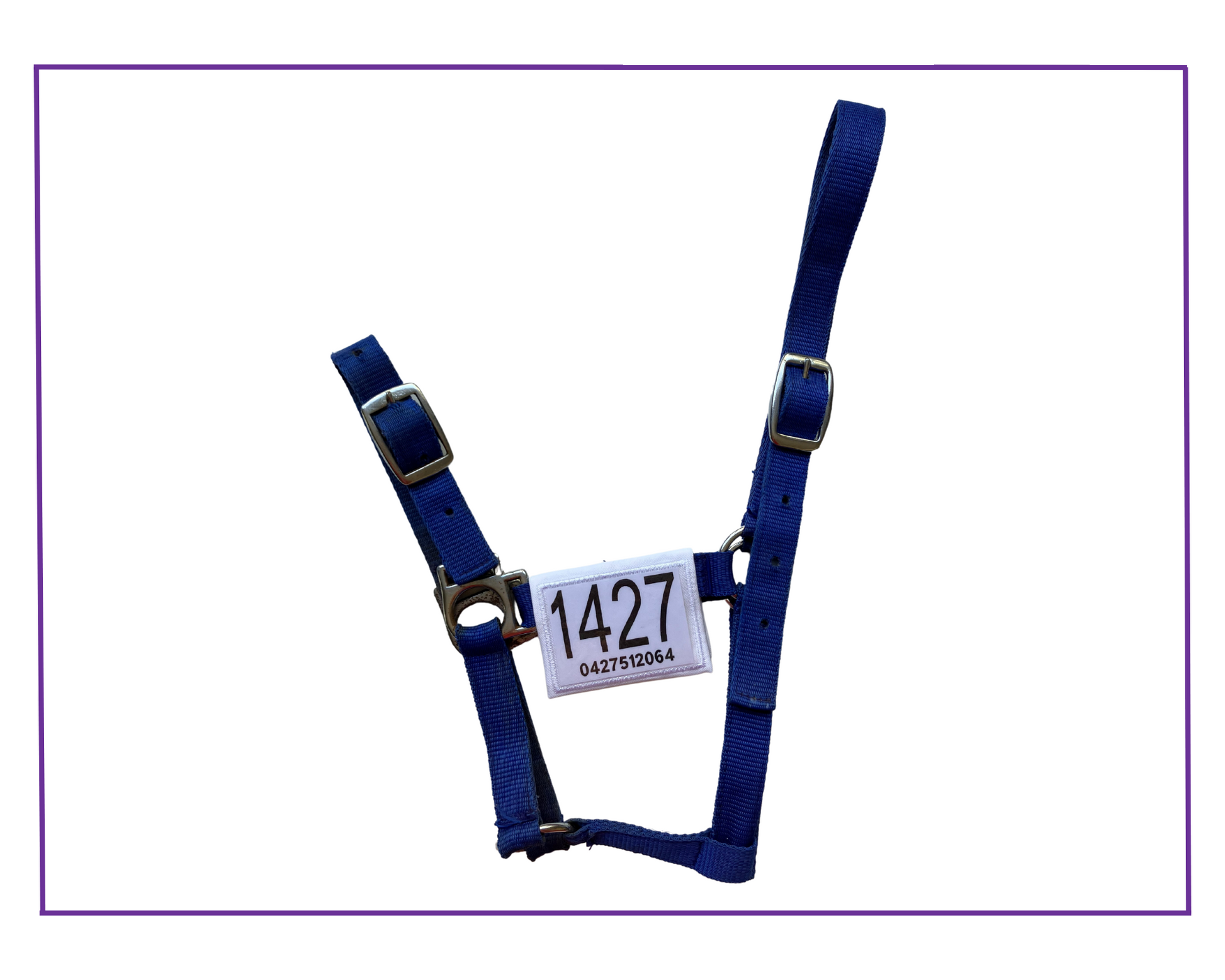 ea dressage halter wraps number extra inserts