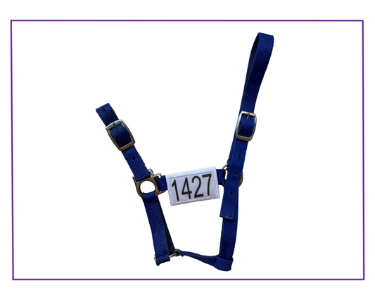 interchangeable halter wraps ea dressage